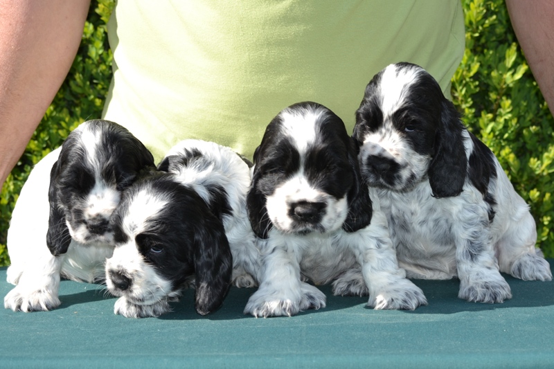 23-Habi, Hanny, Hart, Haidi.JPG